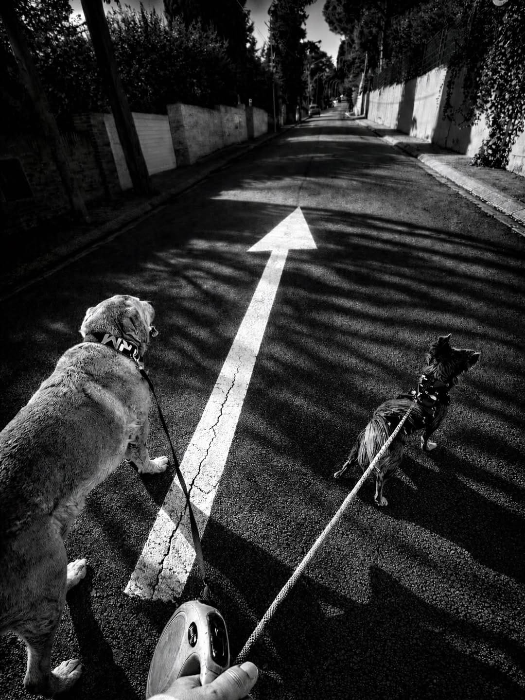 Post 4 by Lola Siles on Instagram (image)