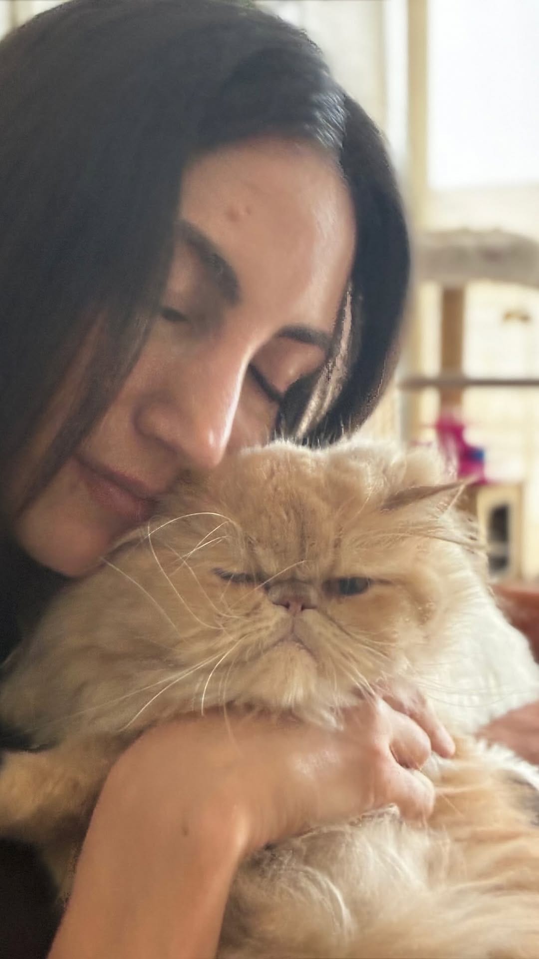 Post 1 by Silvina Cassisi | Venus del mate on Instagram (video)