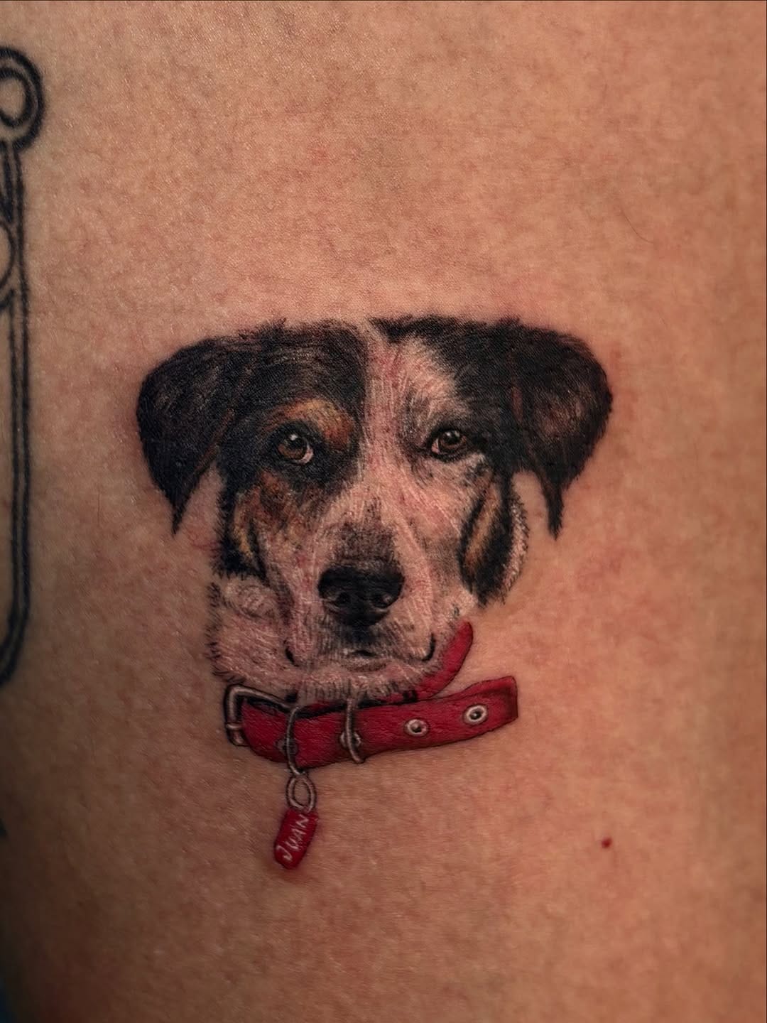 Post 10 by Montse Mitre Cruz on Instagram (carousel)