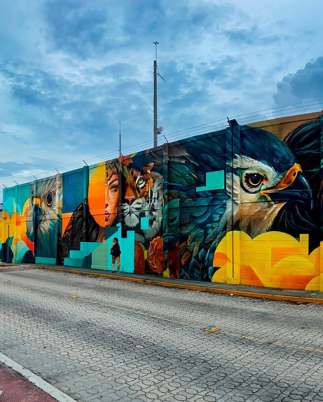 Post 7 by Internationally acclaimed street artist on Instagram (carousel)