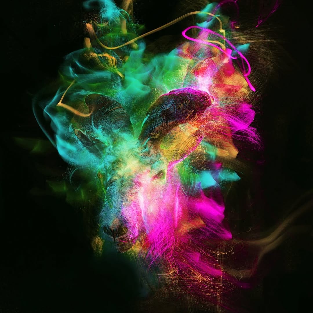 Post 2 by Jesse Pruitt on Instagram (image)