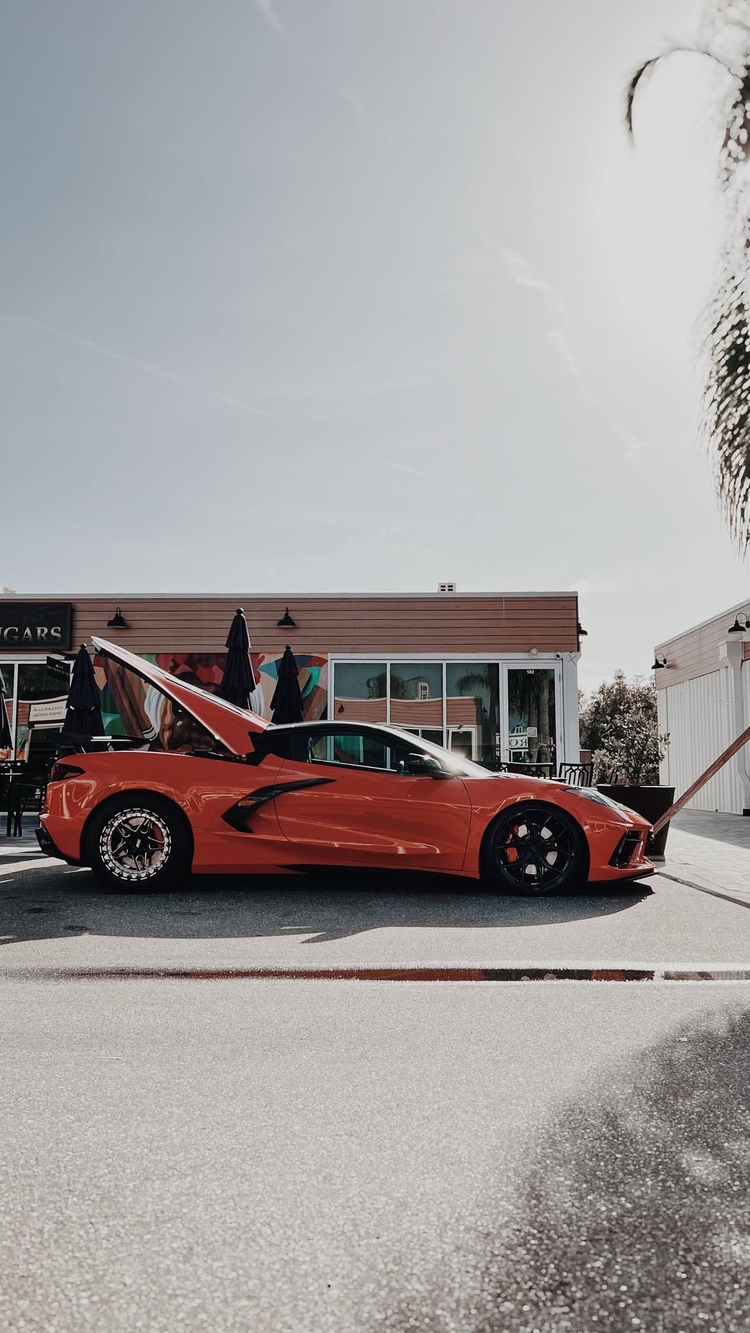 Post 9 by Kyle Chaplin on Instagram (video)