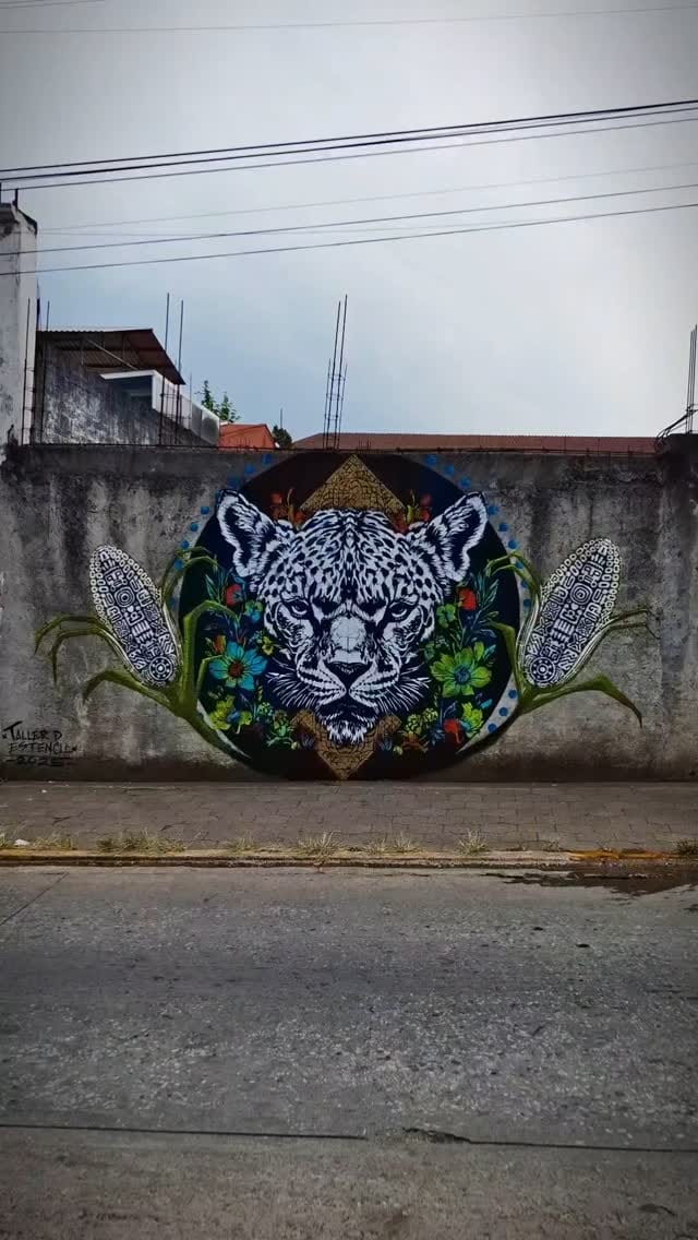 Post 6 by KARAS URBANAS on Instagram (video)