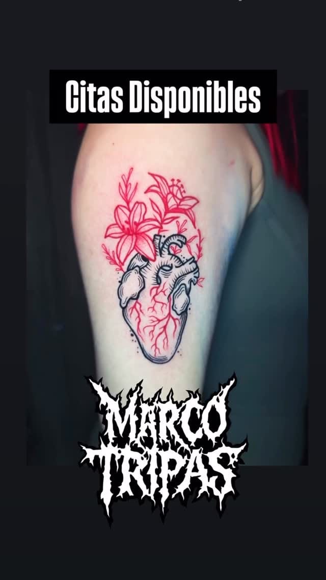 Post 5 by Marco Zendejas (Marco Tripas) on Instagram (video)