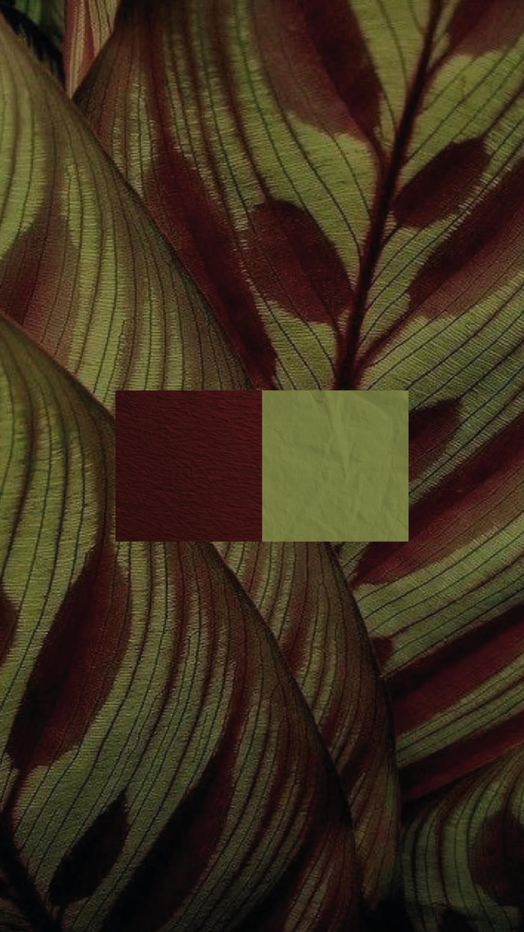 Post 2 by Serandu Studio | Branding on Instagram (video)