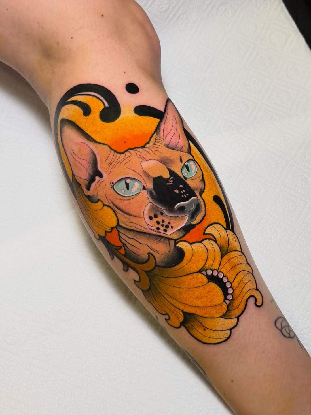 Post 4 by •𝕮𝖍𝖊𝖒𝖆 𝕾𝖆́𝖓𝖈𝖍𝖊𝖟• on Instagram (carousel)