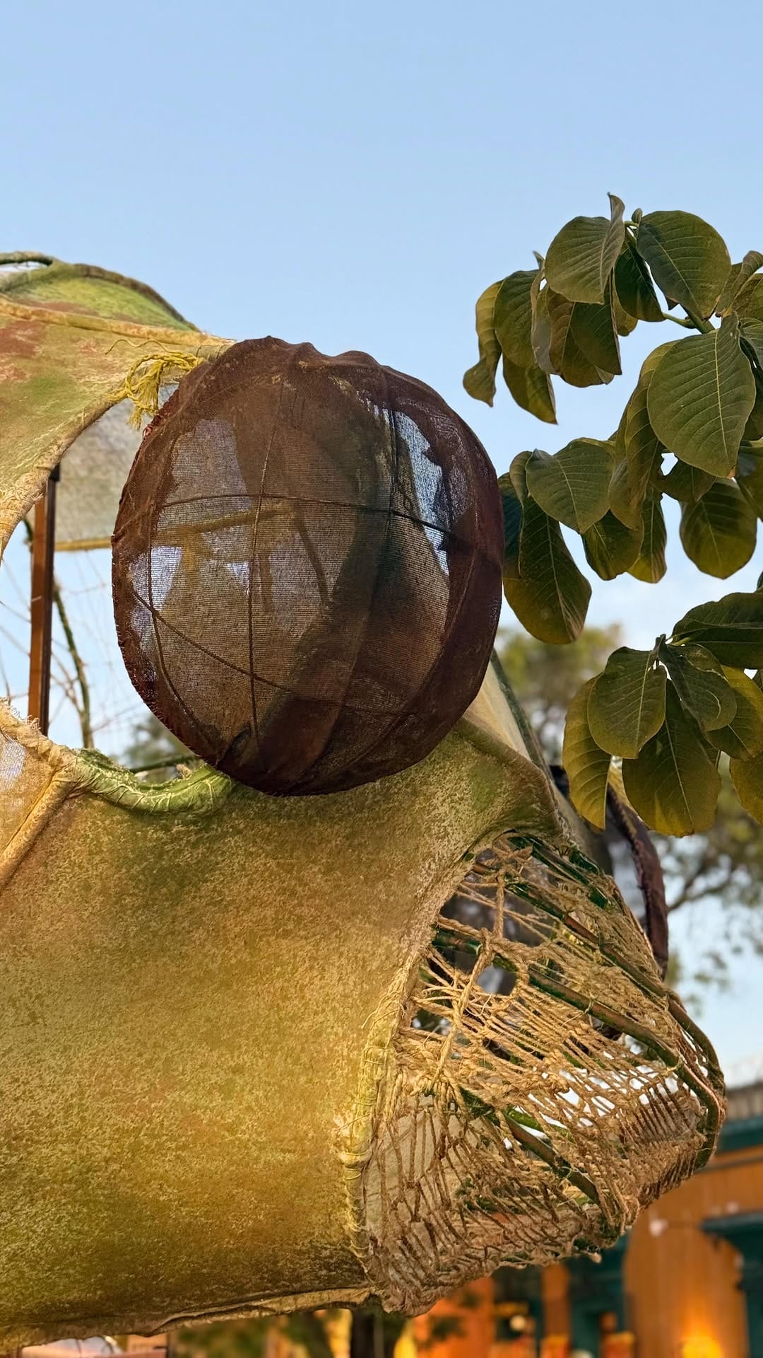 Post 9 by Que Pasa Oaxaca on Instagram (video)