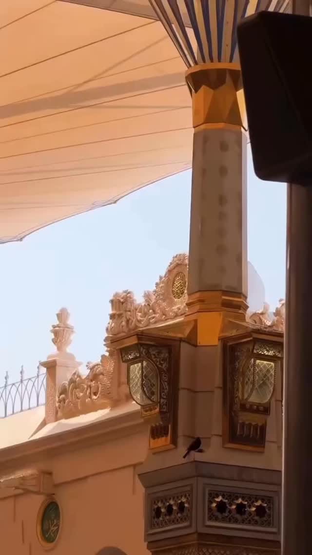 Post 2 by ركن التصميم والطباعة on Instagram (video)