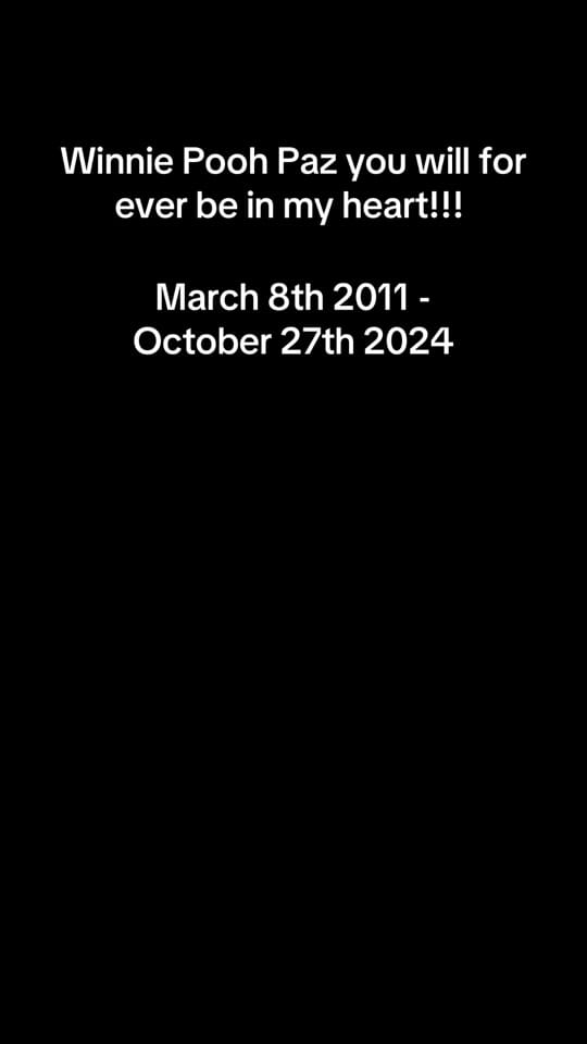 Post 7 by Franny Monsour on TikTok (video)