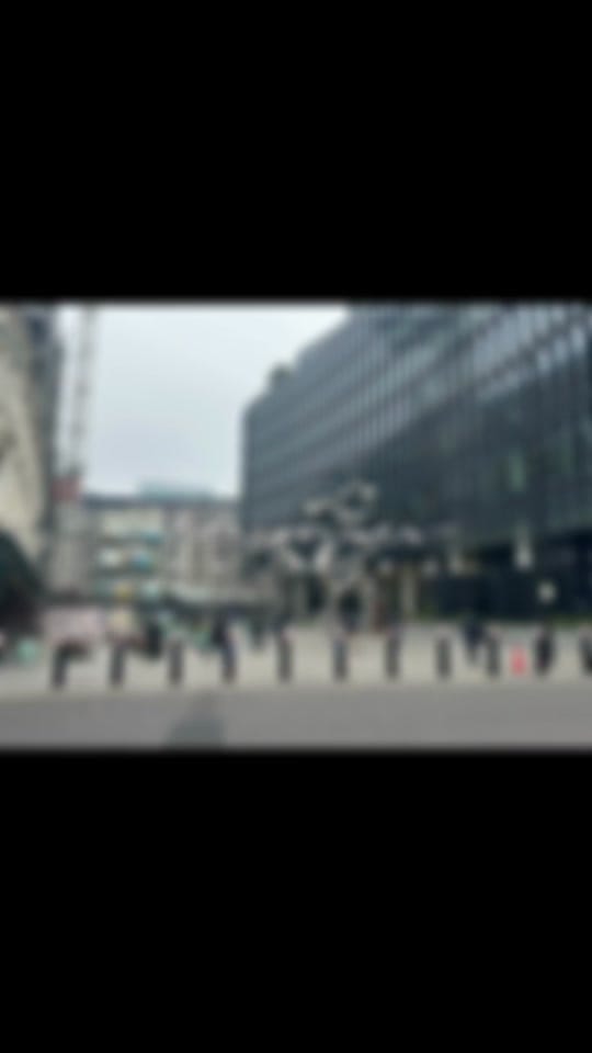 Post 5 by Franny Monsour on TikTok (video)