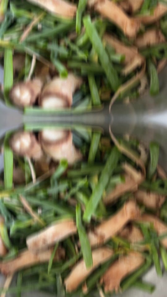 Post 1 by Joshua Knopp on TikTok (video)