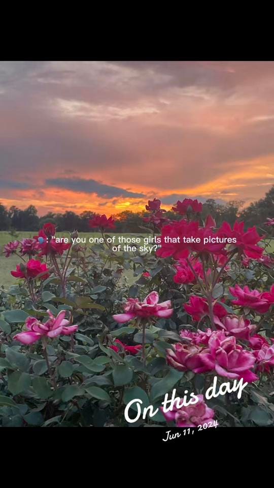 Post 1 by Lima . Scott on TikTok (video)