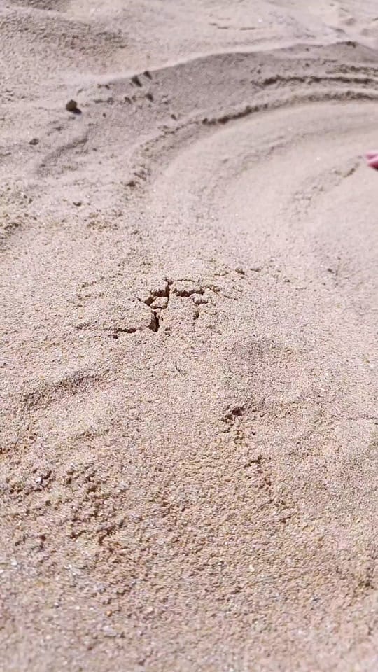 Post 5 by kitchenkombat TV on TikTok (video)