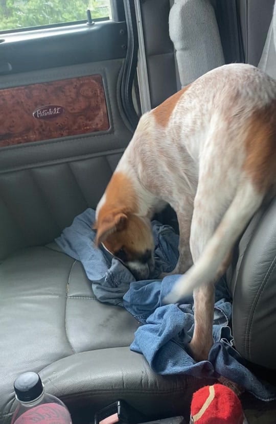Post 7 by Scott Cash 75❌ on TikTok (video)