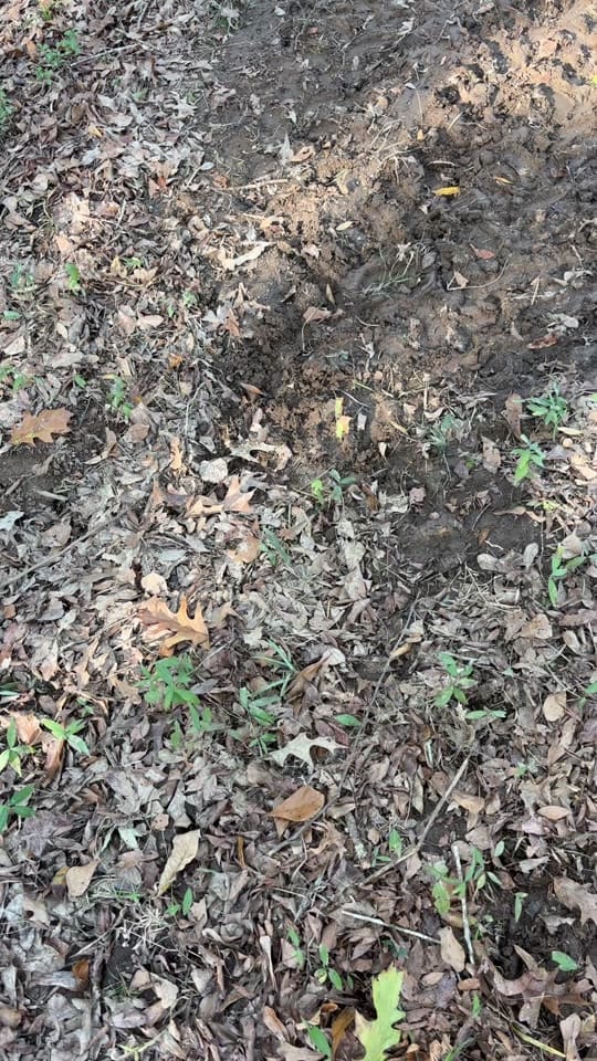 Post 5 by Scott Cash 75❌ on TikTok (video)