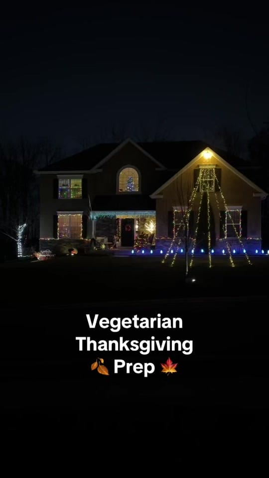 Post 7 by Rachel Taenzler on TikTok (video)