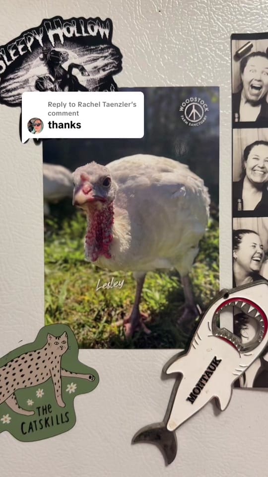 Post 6 by Rachel Taenzler on TikTok (video)