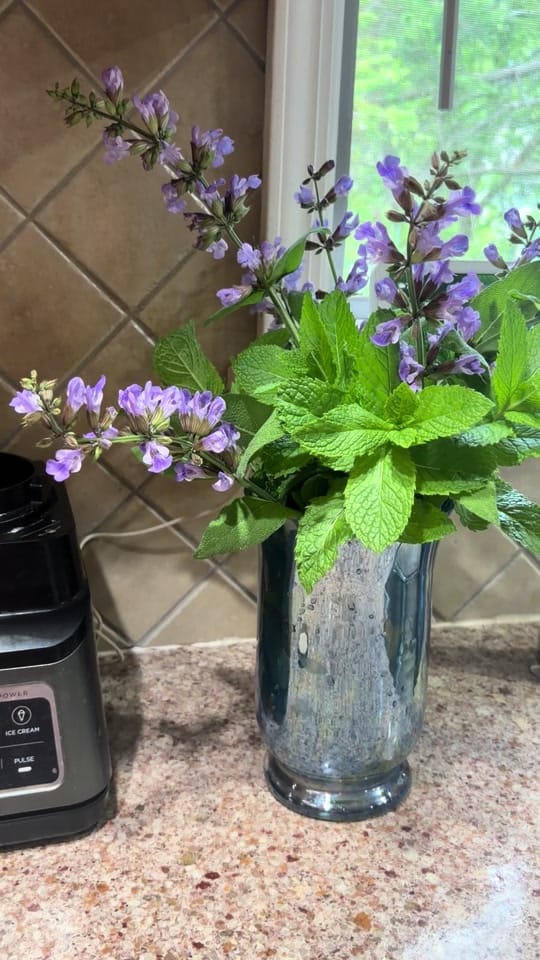 Post 7 by Delicious D’s Kitchen on TikTok (video)