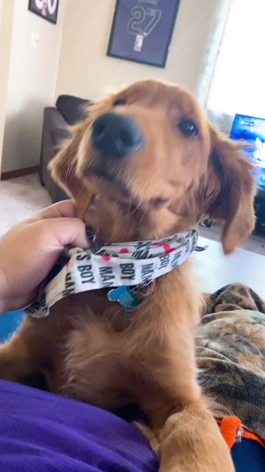 Post 3 by Ernie Macias on TikTok (video)
