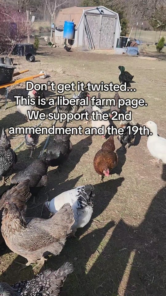 Post 10 by ✨️Autumn Olive Farms of MI✨️ on TikTok (video)