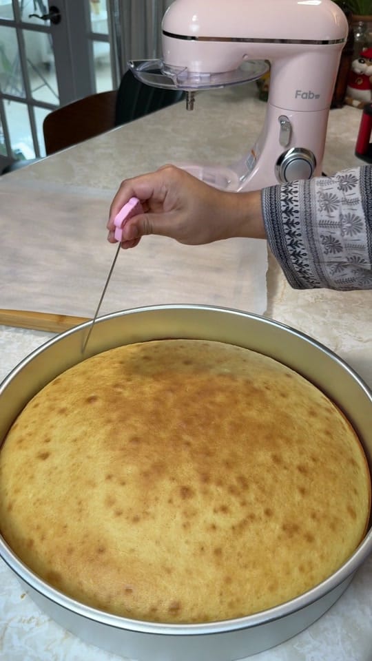 Post 2 by Esha’s Kitchen on TikTok (video)