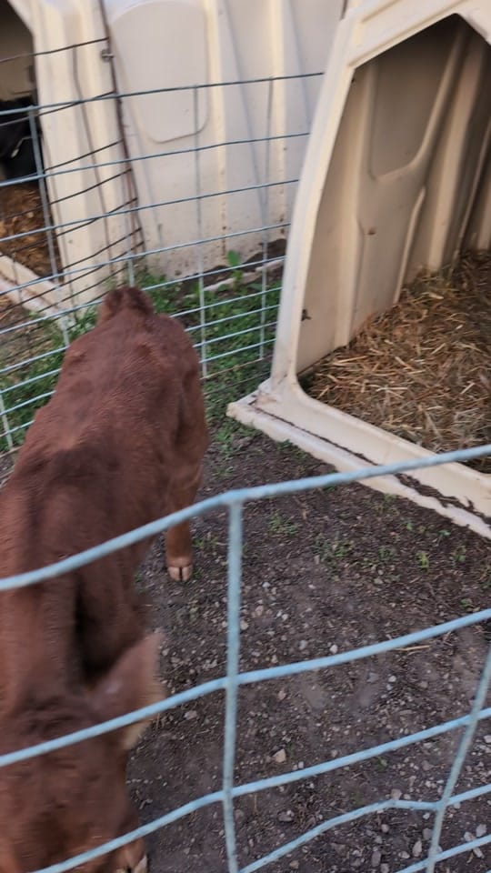 Post 5 by MAWOLF❌ on TikTok (video)