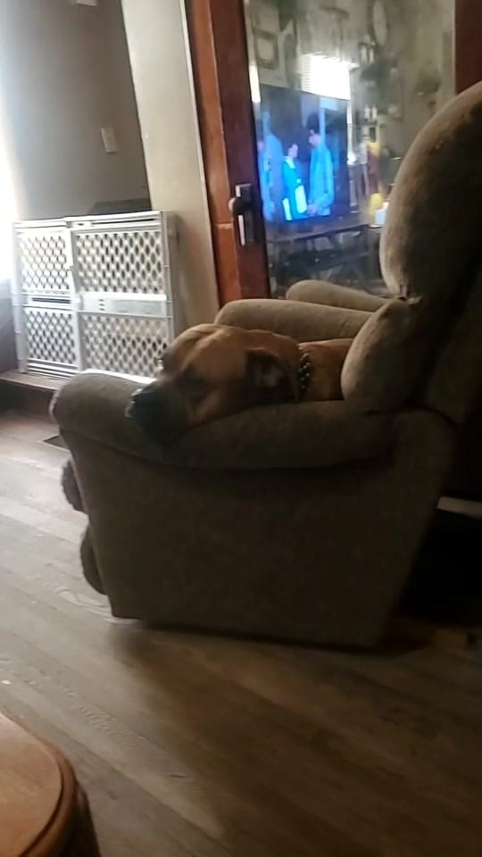 Post 4 by Trudy on TikTok (video)