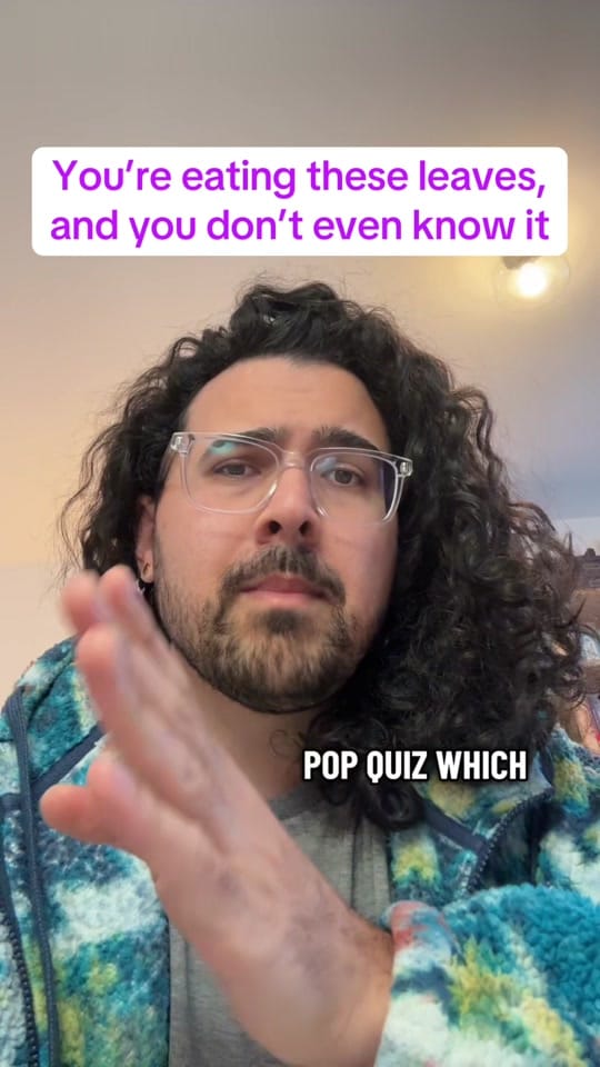 Post 9 by Ash Beaufine on TikTok (video)