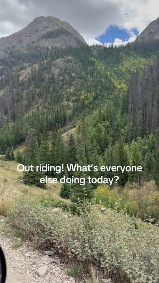 Post 4 by Mark on TikTok (video)