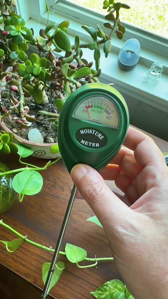 Post 8 by Lindseriously on TikTok (video)