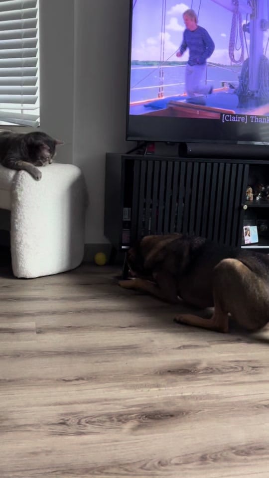 Post 3 by Lynncoco on TikTok (video)