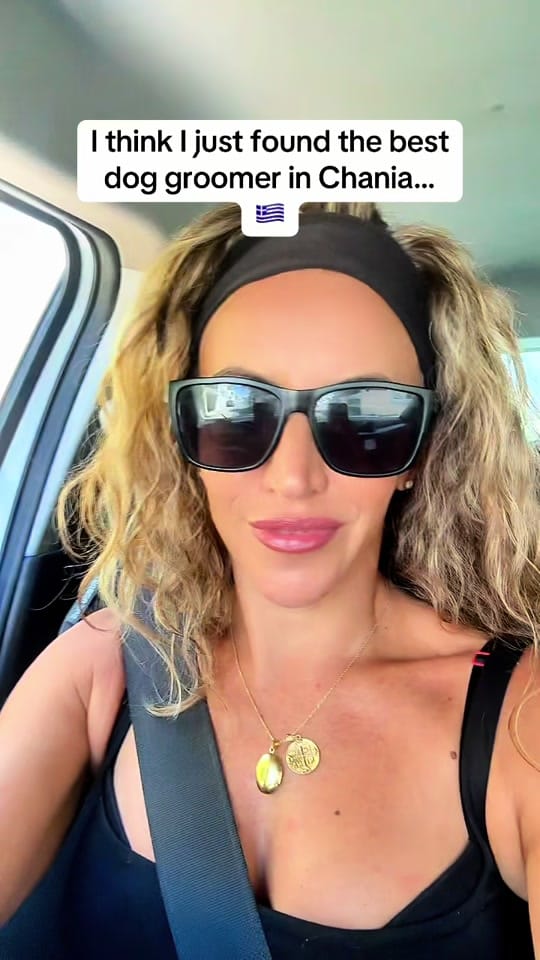 Post 5 by Nicole Shubalis on TikTok (video)