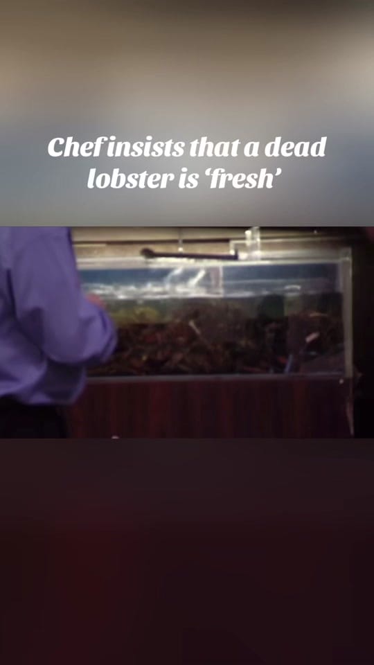 Post 10 by k1tchen_nightmares on TikTok (video)