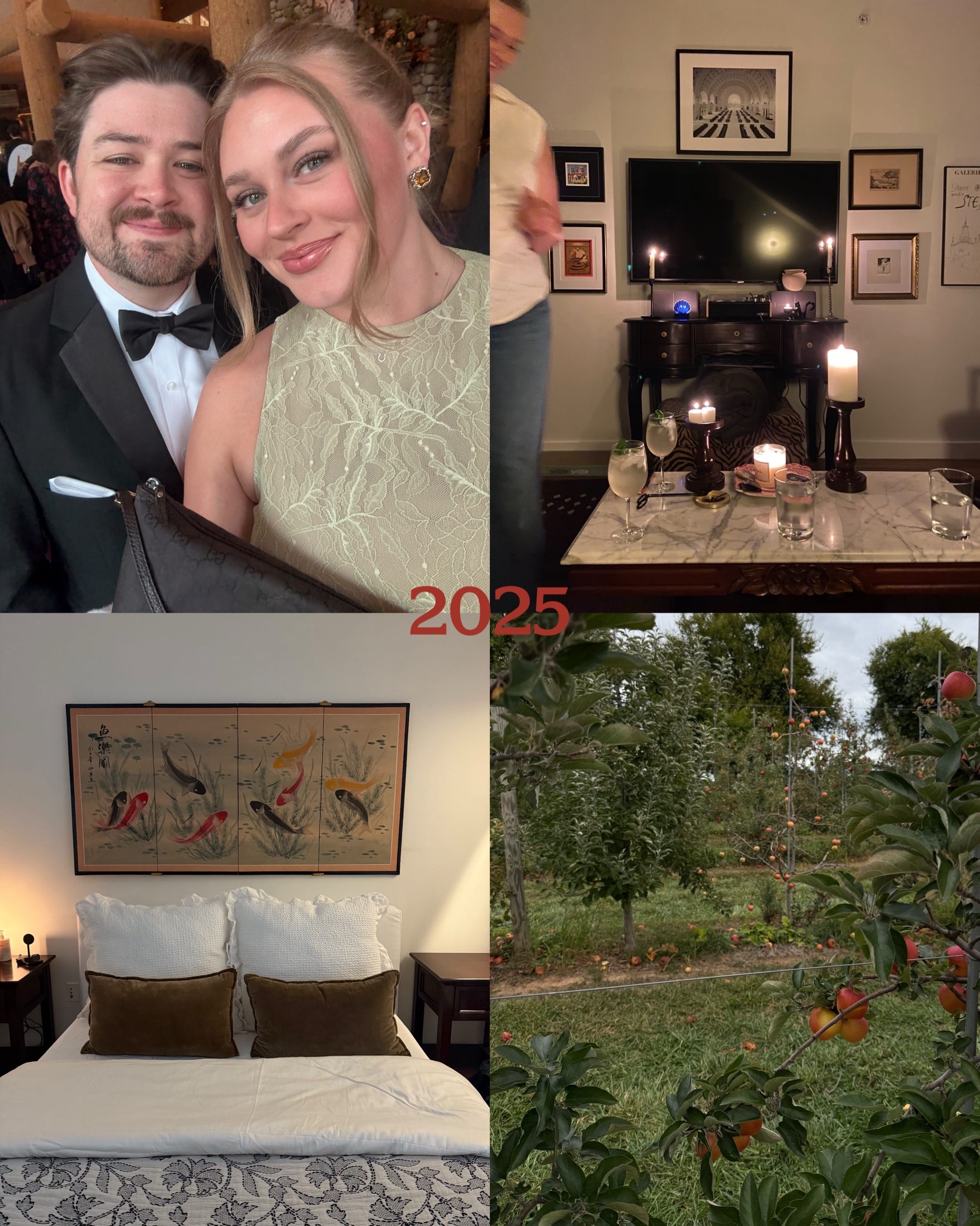 Post 5 by annnnabarnes on TikTok (video)