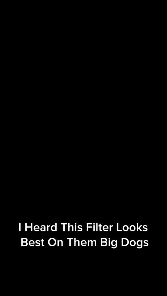 Post 4 by Tim on TikTok (video)