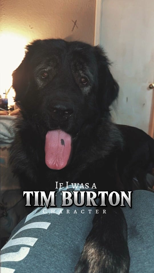 Post 3 by Tim on TikTok (video)