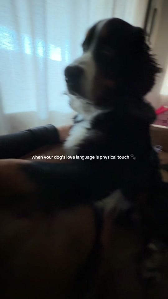 Post 7 by Ursula on TikTok (video)