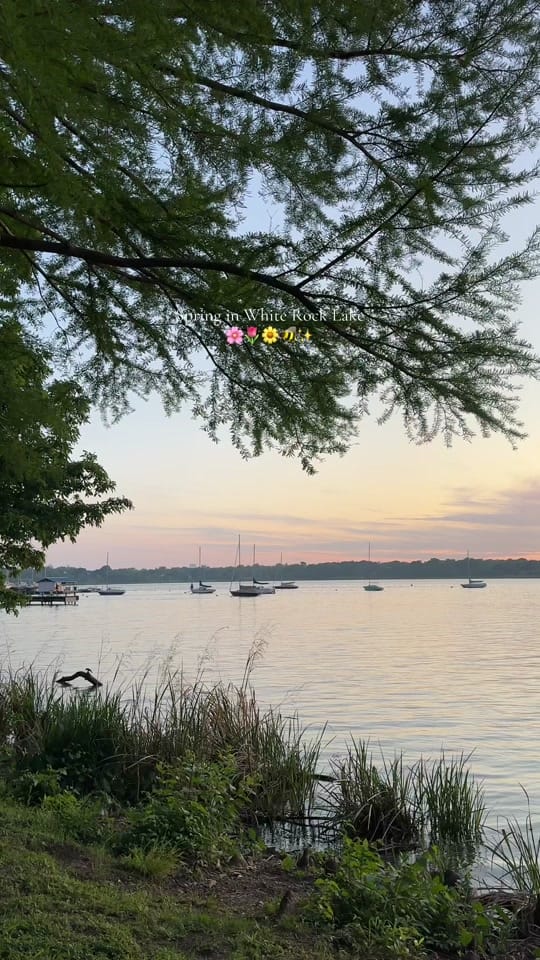Post 2 by smriti ♡ on TikTok (video)