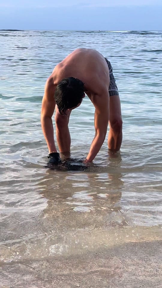Post 8 by Chef Hong on TikTok (video)