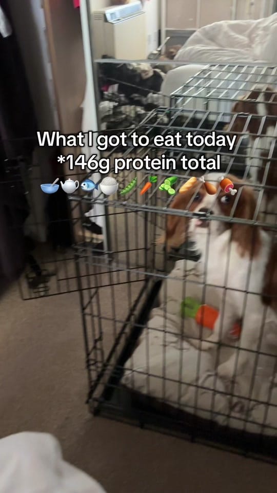 Post 6 by Georgiaaa on TikTok (video)