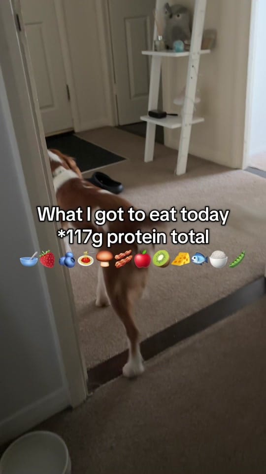 Post 5 by Georgiaaa on TikTok (video)