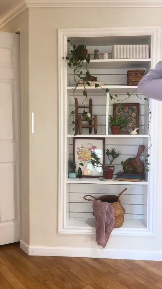 Post 10 by Pigeontoad on TikTok (video)