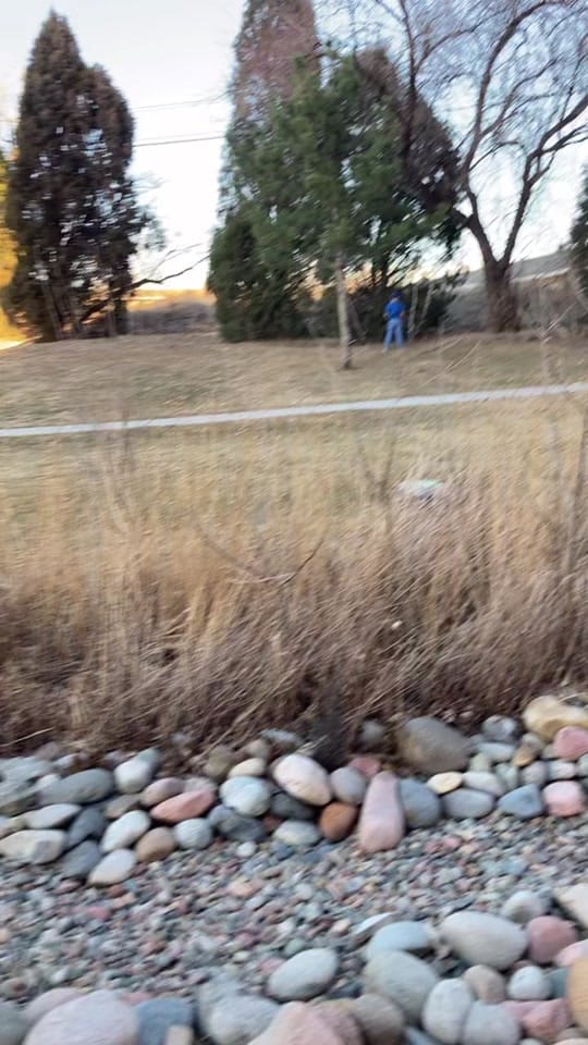 Post 2 by killerquee3n on TikTok (video)