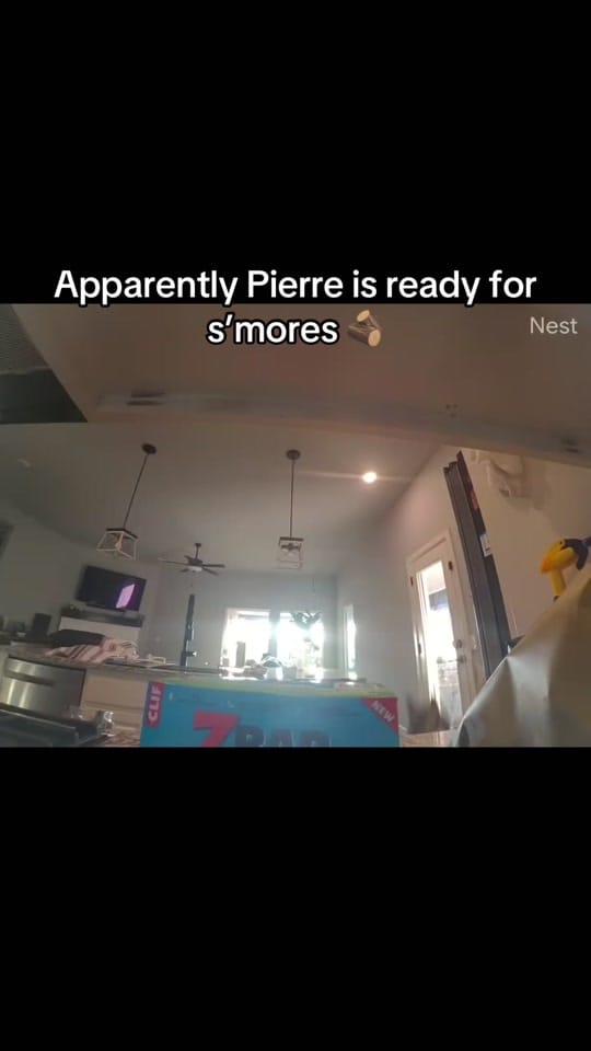 Post 3 by Paden Ferguson on TikTok (video)