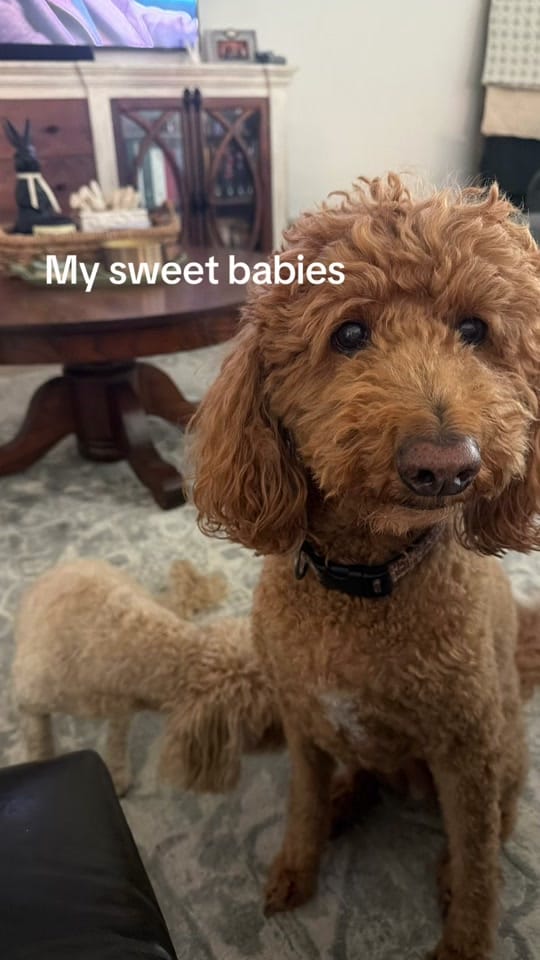 Post 5 by Shana B ❤️ on TikTok (video)