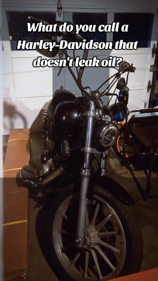 Post 6 by Dragon Mama on TikTok (video)