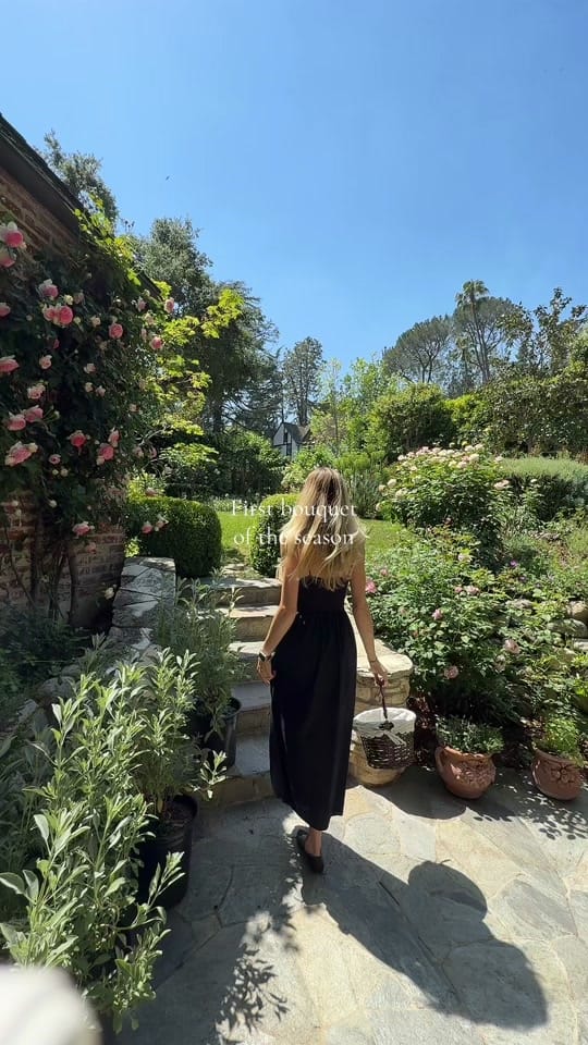 Post 2 by Amanda Dalfonso on TikTok (video)