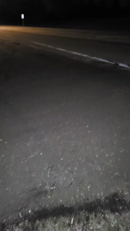 Post 1 by Buddy L & Robin's adventures on TikTok (video)