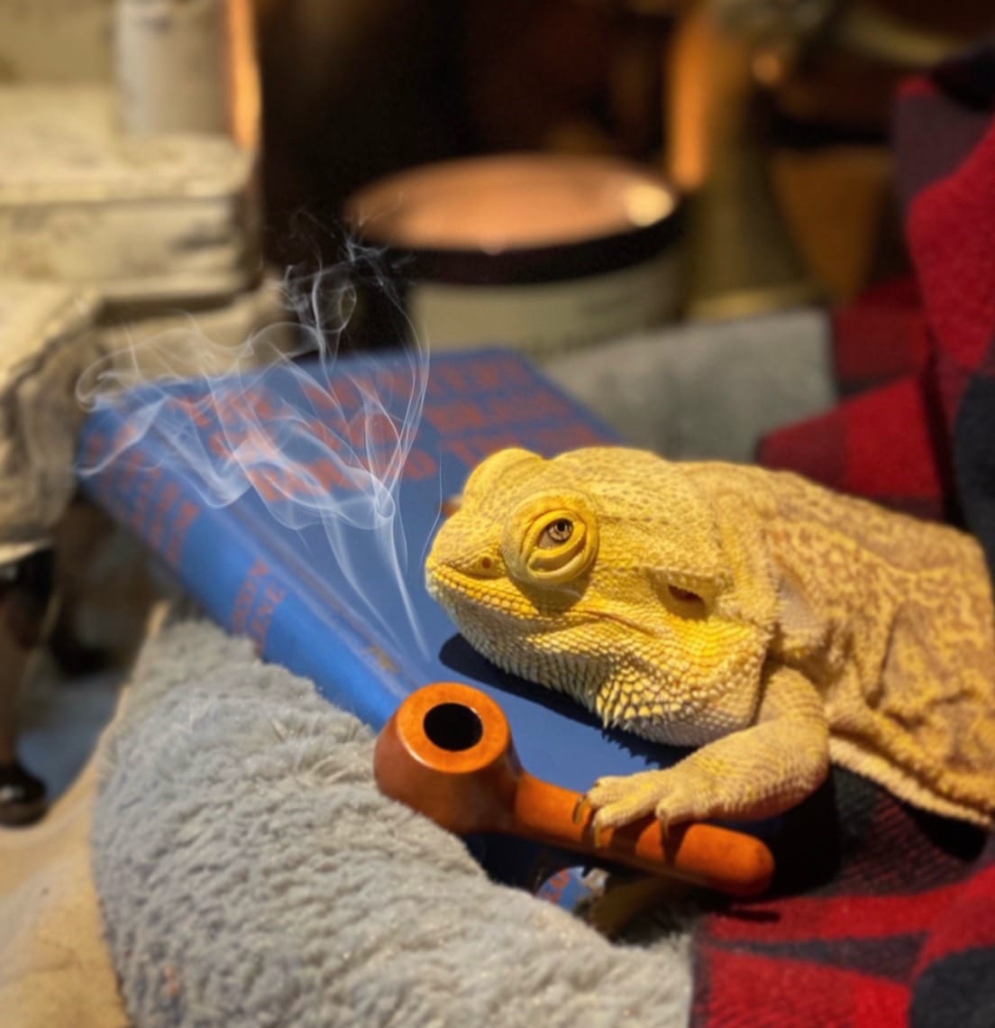 Post 7 by WHOSAGOODLIZARD on TikTok (video)