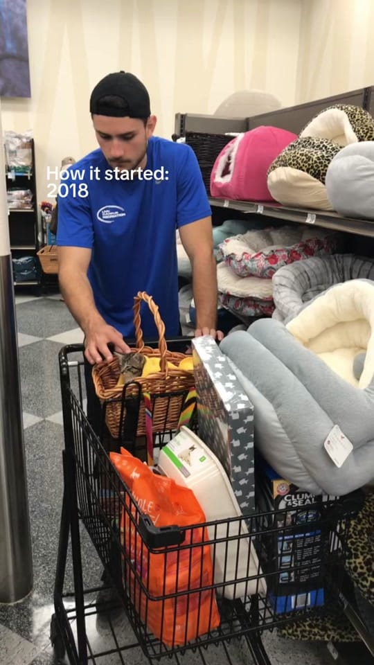 Post 4 by Heidi Bove on TikTok (video)